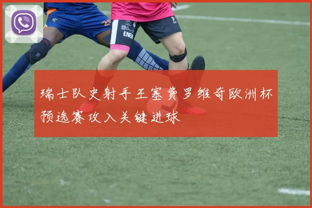 瑞士队史射手王塞费罗维奇欧洲杯预选赛攻入关键进球