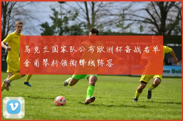 乌克兰国家队公布欧洲杯备战名单舍甫琴科领衔锋线阵容