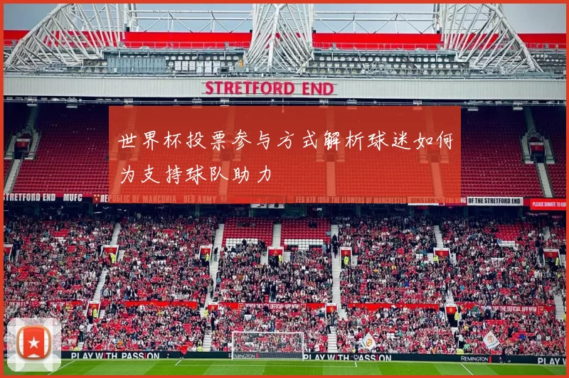 世界杯投票参与方式解析球迷如何为支持球队助力