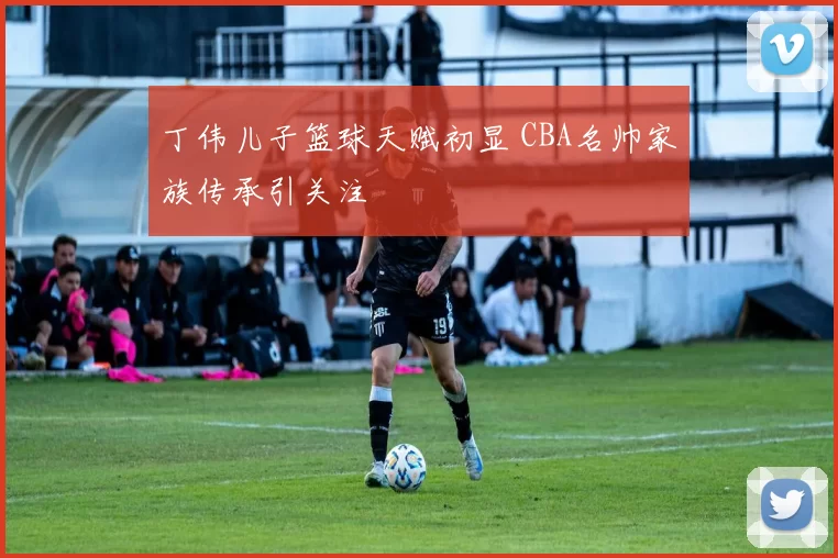 丁伟儿子篮球天赋初显 CBA名帅家族传承引关注