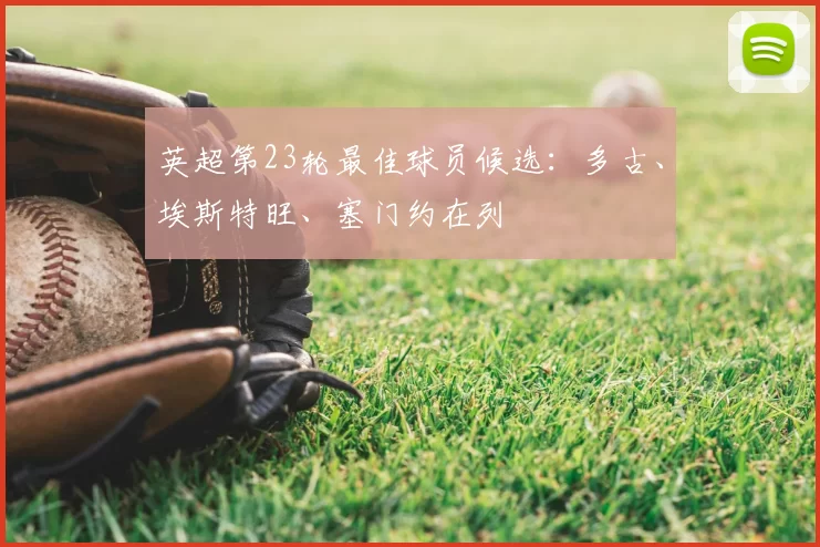 英超第23轮最佳球员候选：多古、埃斯特旺、塞门约在列